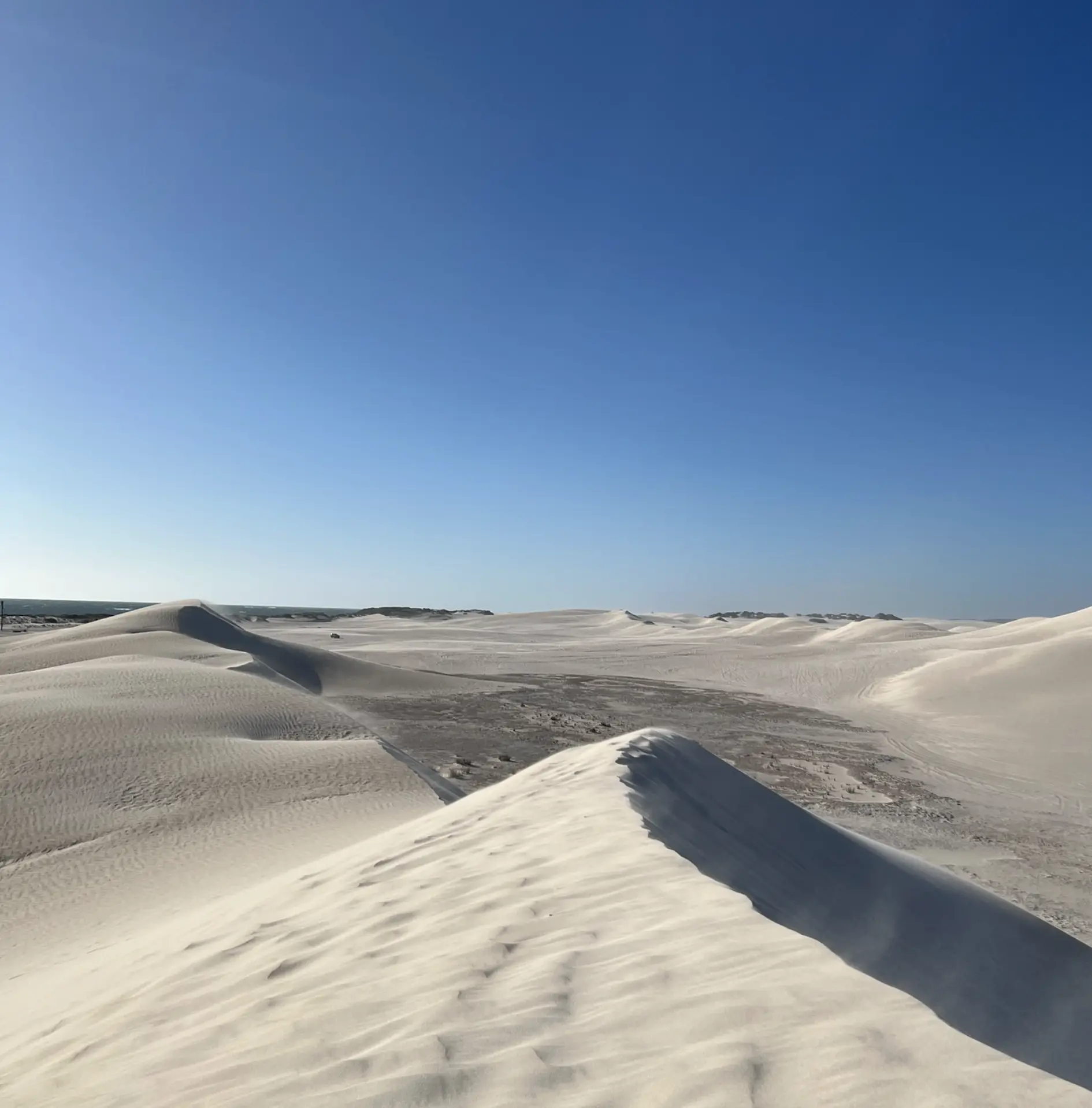 Lancelin Sand Dunes