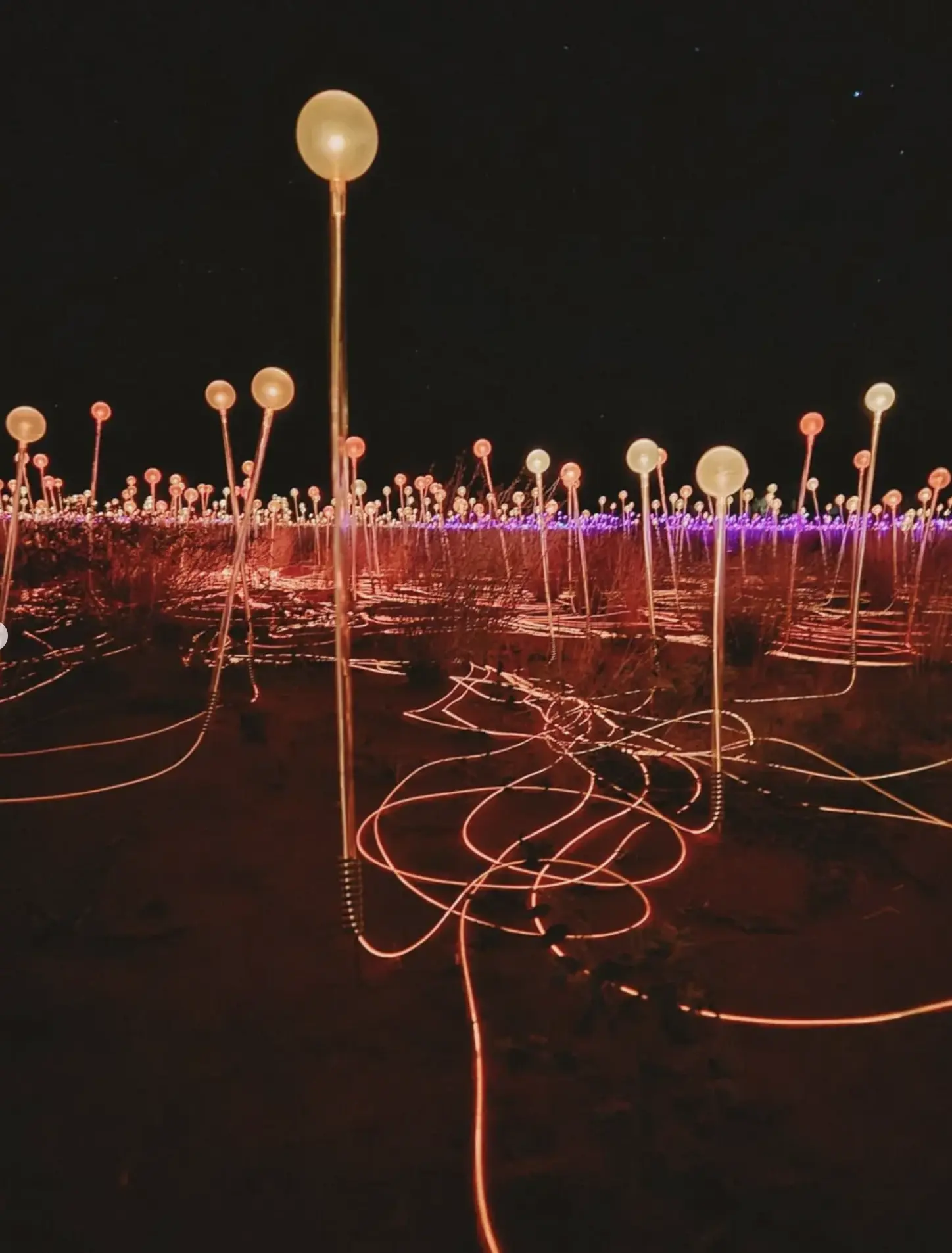 Field of Light Uluru